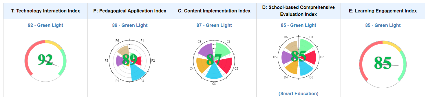 Lesson Data Quality Evaluation Report